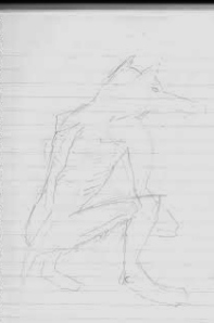 Sketch of Alberta canid creature by witness